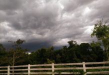“ปาข่า” อ่อนล้าไม่อ่อนแรง 50 จว.เสี่ยง กทม.-ปริมณฑลฝนถล่มส่งท้ายเดือน 8