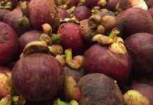 พณ.จัดงาน Fruit Festival กระตุ้นส่งออก รับฤดูผลไม้