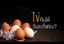 กินไข่ให้ได้ประโยชน์ (คลิป)