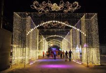 แลนด์มาร์ครัชดาฯเนรมิต 39 ไร่จัด“ศิลป์แสง แห่งแรงบันดาลใจ” สีสันรับลมหนาว