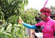 One Day Trip ปั่น…ตามหาแหล่งที่มาอาหารอินทรีย์ Organic Tourism