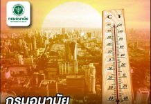 มะเร็งผิวหนัง มฤตยูฤดูร้อน กรมอนามัย เตือนตากแดดนานๆ เสี่ยง!