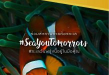 สิงห์ เอสเตท “#SeaYouTomorrow ทะเลวันพรุ่งนี้อยู่ในมือคุณ”