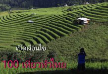 เปิดเงื่อนไข ลงทะเบียน 100 เดียวเที่ยวทั่วไทย