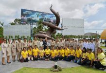 ท่องเที่ยวจัดโลมาอิรวดีสัตว์หายากเป็นโลโก้เมืองลุงปลูกจิตสำนึกร่วมอนุรักษ์