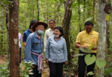 BEDO เชิดชูเกียรติชุมชนไม้มีค่า-ป่าครอบครัว เพื่อเพิ่มพื้นที่สีเขียวนอกเขตอนุรักษ์