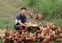 เที่ยววิถีอินทรีย์ดูที่มาผักกับไข่มาจากไหน? กับสามพรานโมเดล