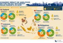Thai agri-food sector shrank 6% last year