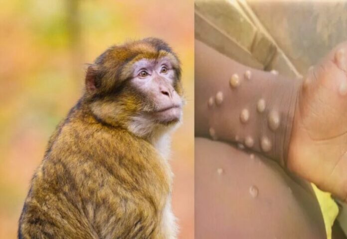 22-07-30-12-13-49-152_deco