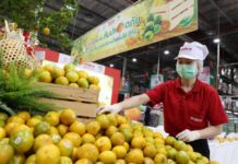 “แม็คโคร”พร้อมสานต่อโครงการ “ส้มปลอดภัย คนไทยยิ้มได้ สู่ปีที่ 9”