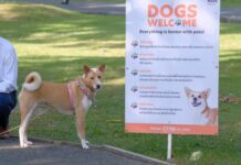 Mars Petcare Thailand makes Better Cities for Pets Collab with BMA to renovate BMA Dog Park Watcharapirom and build a pet-friendly environment