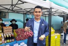“อมก๋อย โมเดล” ยุทธการซื้อพืช 3 หัว ถึงคิวปั้นกระเทียมเมืองสามหมอกรับซื้อถึงแหล่งปลูก