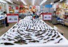 แม็คโครรับซื้อปลากระพงตรงจากเกษตรภาคใต้กว่า 3 หมื่นกิโลกรัม หนุนสร้างรายได้ชุมชน