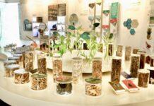 ลพบุรีพาทัวร์งานสมุนไพรพร้อมพัฒนาครบวงจร