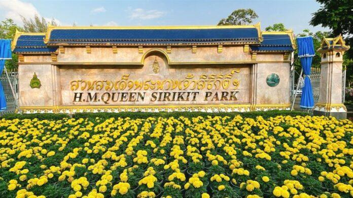 574575793_1165300029111478_4316179731291641336_n