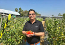 ซินเจนทาเปิดเวทีเรียนรู้ภาคสนามการเกษตรเอเชียตะวันออกเฉียงใต้ รวมพลังแลกเปลี่ยนแนวทางผลิตอาหาร ท่ามกลางความท้าทายที่เพิ่มขึ้น