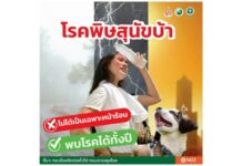 โรคพิษสุนัขบ้ารักษาไม่หาย 100% “จำให้ขึ้นใจ! 5 ย. คาถากันกัด” ป้องกันได้ถ้าเราไม่เข้าไปเสี่ยง