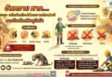 ข่าวจริง “ สัมผัส ชำแหละ-บริโภค สัตว์ป่วยตายผิดปกติ เสี่ยงติดเชื้อพิษสุนัขบ้า”