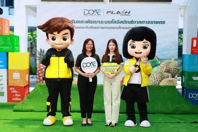 Flash x Doae 01_0