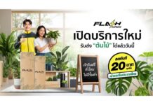 Flash Express รุกตลาดใหม่ เปิดบริการขนส่ง “ต้นไม้” ทั่วไทย พร้อมมอบส่วนลด 20 บาททุกชิ้น เจาะกลุ่มคนรักต้นไม้และผู้ค้าต้นไม้โดยเฉพาะ