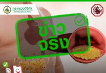 ข่าวจริง “สารกลุ่มอะดิโพไคน์ เกิดจากไขมันในช่องท้อง”