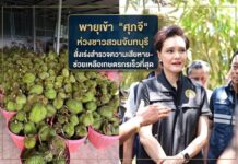 พายุเข้า “ศุภจี” ห่วงชาวสวนจันทบุรี สั่งเร่งสำรวจความเสียหายและช่วยเหลือเกษตรกรเร็วที่สุด โดยเฉพาะสวนที่อยู่ในช่วงใกล้เก็บเกี่ยว