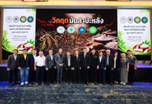 4 สมาคมมันสำปะหลังไทย ประกาศภาวะวิกฤตหัวมันสำปะหลังขั้นรุนแรง วอนรัฐเร่งกำหนดเป็นวาระแห่งชาติ แก้ไขปัญหาโรคใบด่าง-ฟื้นฟูผลผลิต