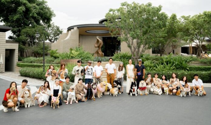 Paws in th park-2